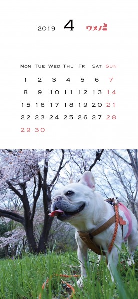 スマホこうめさんカレンダー2019.4改定