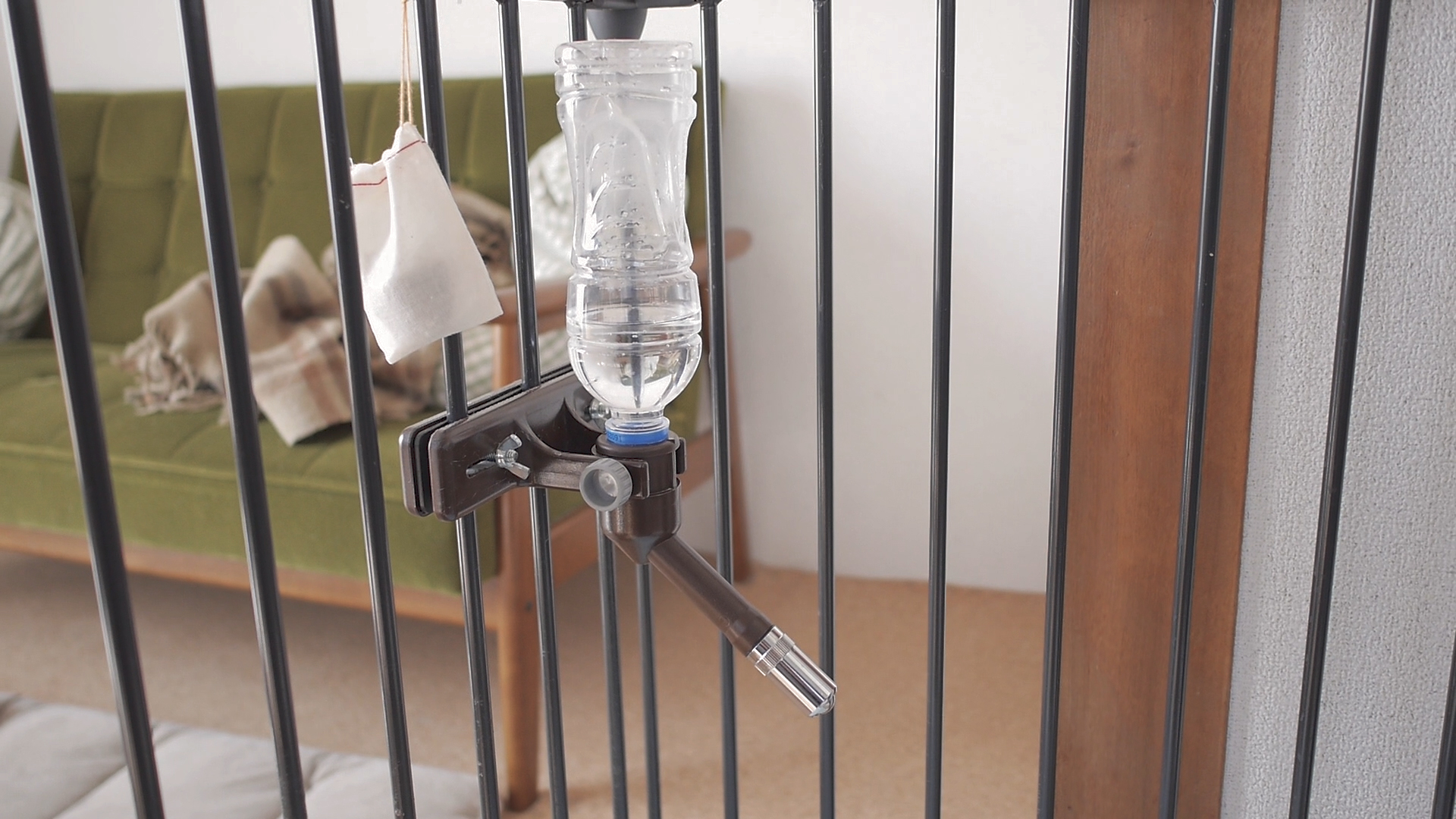 ちょっと知りたい犬のケージまわりの使い方 成長編 うめのみ│犬と暮らし