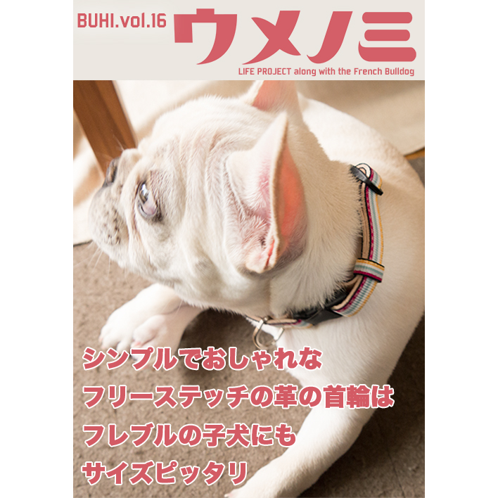 Brutus特別編集 やっぱり犬だって にちょっぴり物足りなさを感じたのです うめのみブログ