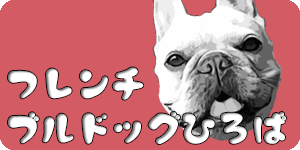 犬の熱中症対策クールバンダナで冷やすのは首の前 後ろ どっち うめのみブログ