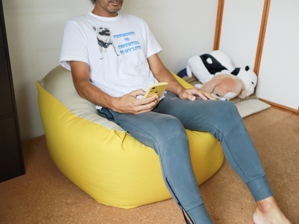 楽天で買える”人をダメにする”ビーズクッションがおしゃれで可愛い：犬との暮らし うめのみブログ