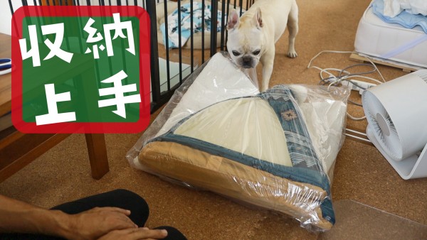 ティピーじゃないけど可愛いテントベッドに愛犬の寝床をリニューアル うめのみブログ