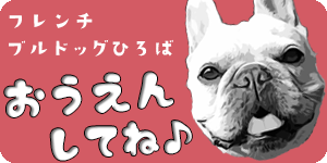 犬用オムツのつけ方 サイズ カバー サスペンダーについて徹底レビュー フレンチブルドッグこうめさんの場合 うめのみブログ