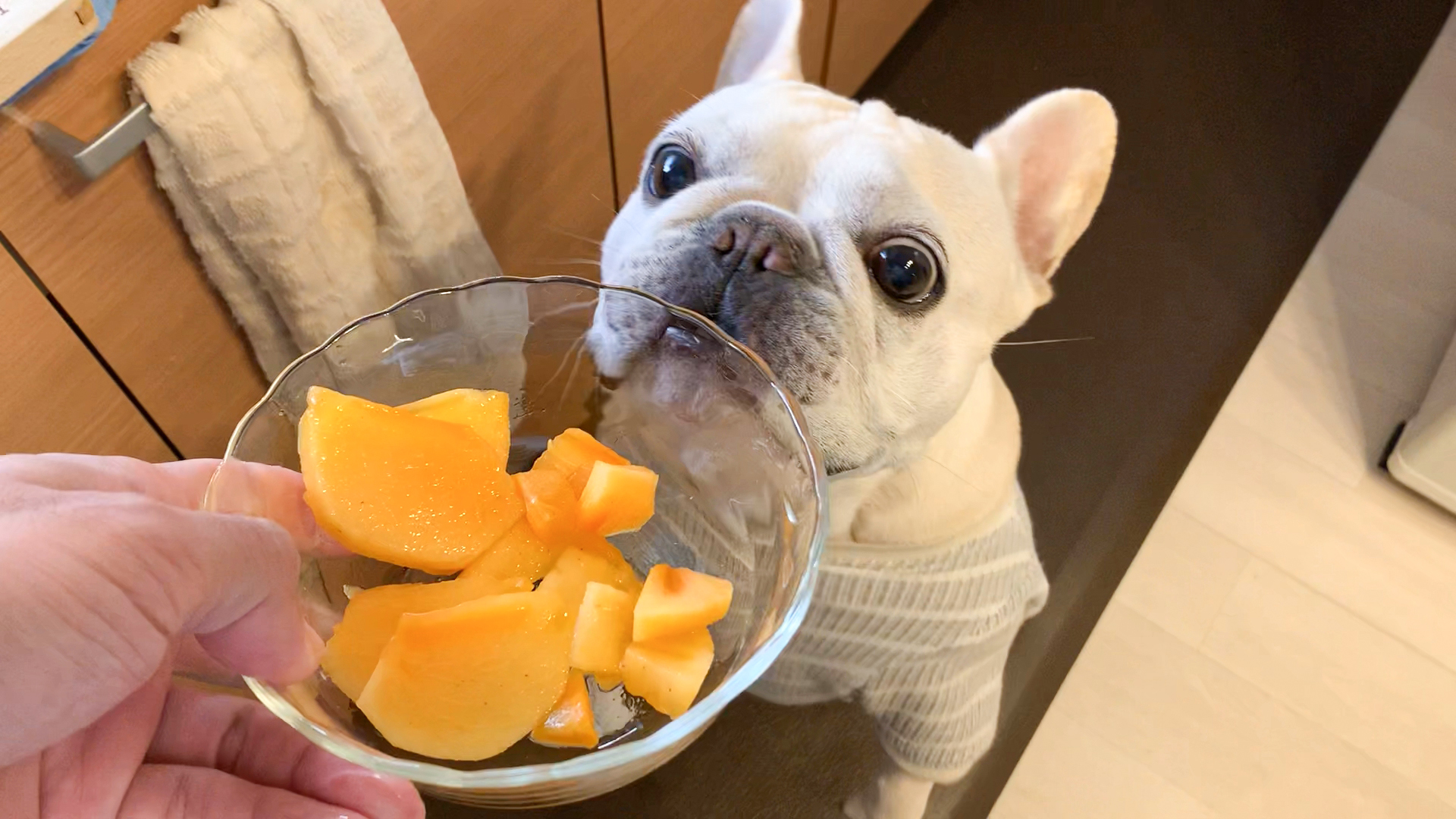 今更ながらに種なし柿の凄さに気づく うめのみ 犬と暮らし