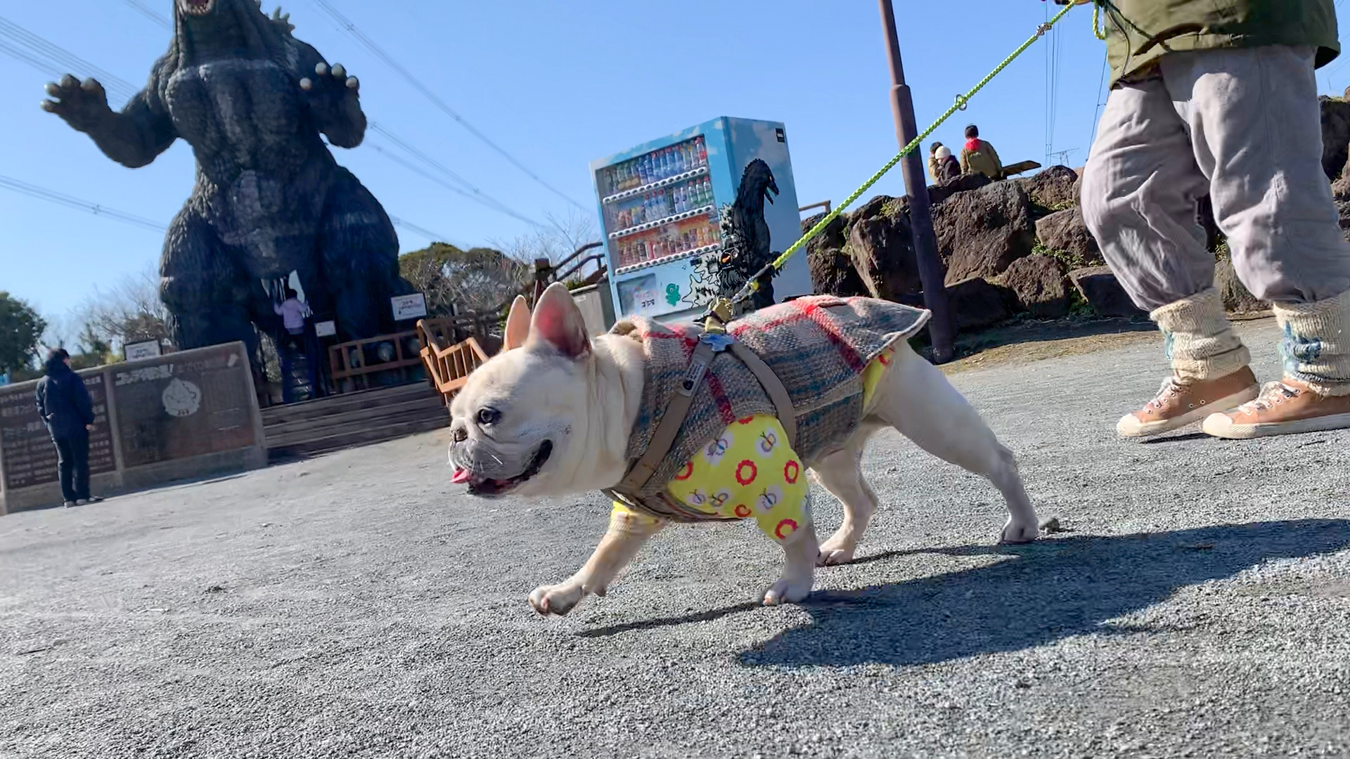 犬連れ関東 横須賀 くりはま花の国に行くならランチはkitchenラディッシュが超おすすめ うめのみ 犬と暮らし