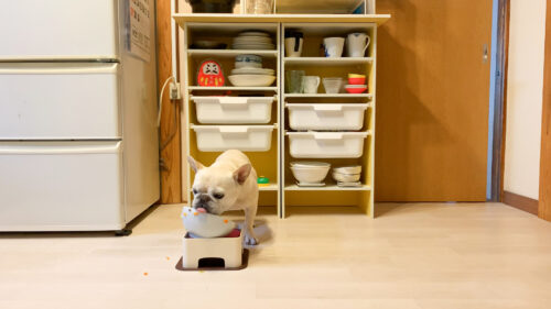 収納上手になりたい ニトリのカラーボックスでキッチンの食器棚diy うめのみ 犬と暮らし