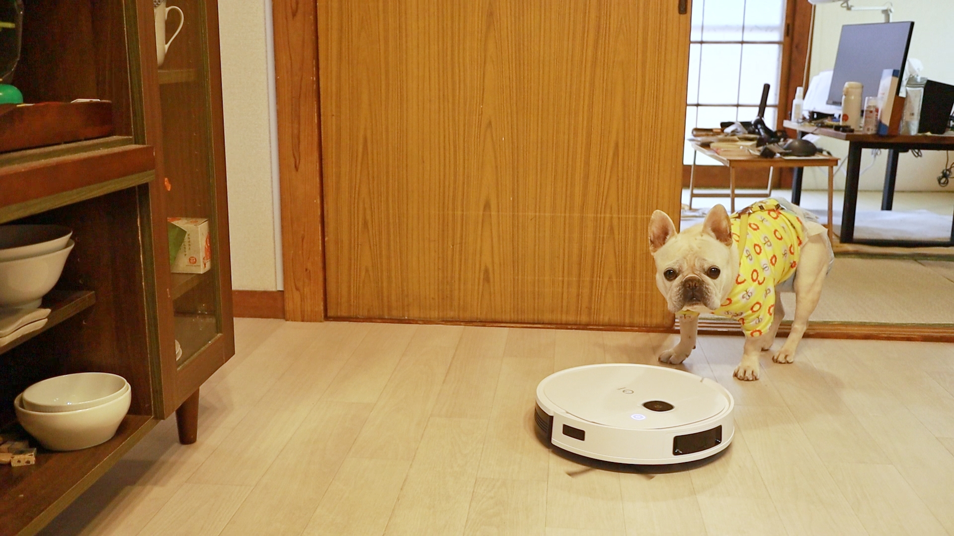 ルンバ歴5年が驚いた】水拭き兼用の最新ロボット掃除機ペットの居る家 