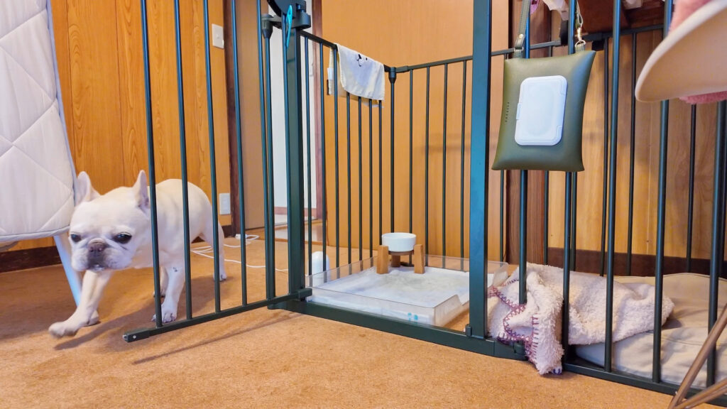 厳選10個!シンプルでおしゃれな犬のケージ特集 | うめのみ│犬と暮らし 